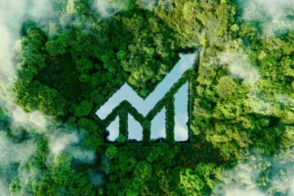 Anthropic发布消息引发软件股反弹，市场恐慌情绪缓解